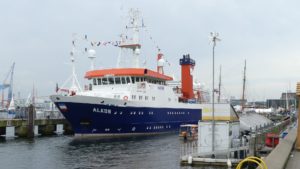 Open Ship Alkor